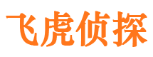 枝江侦探